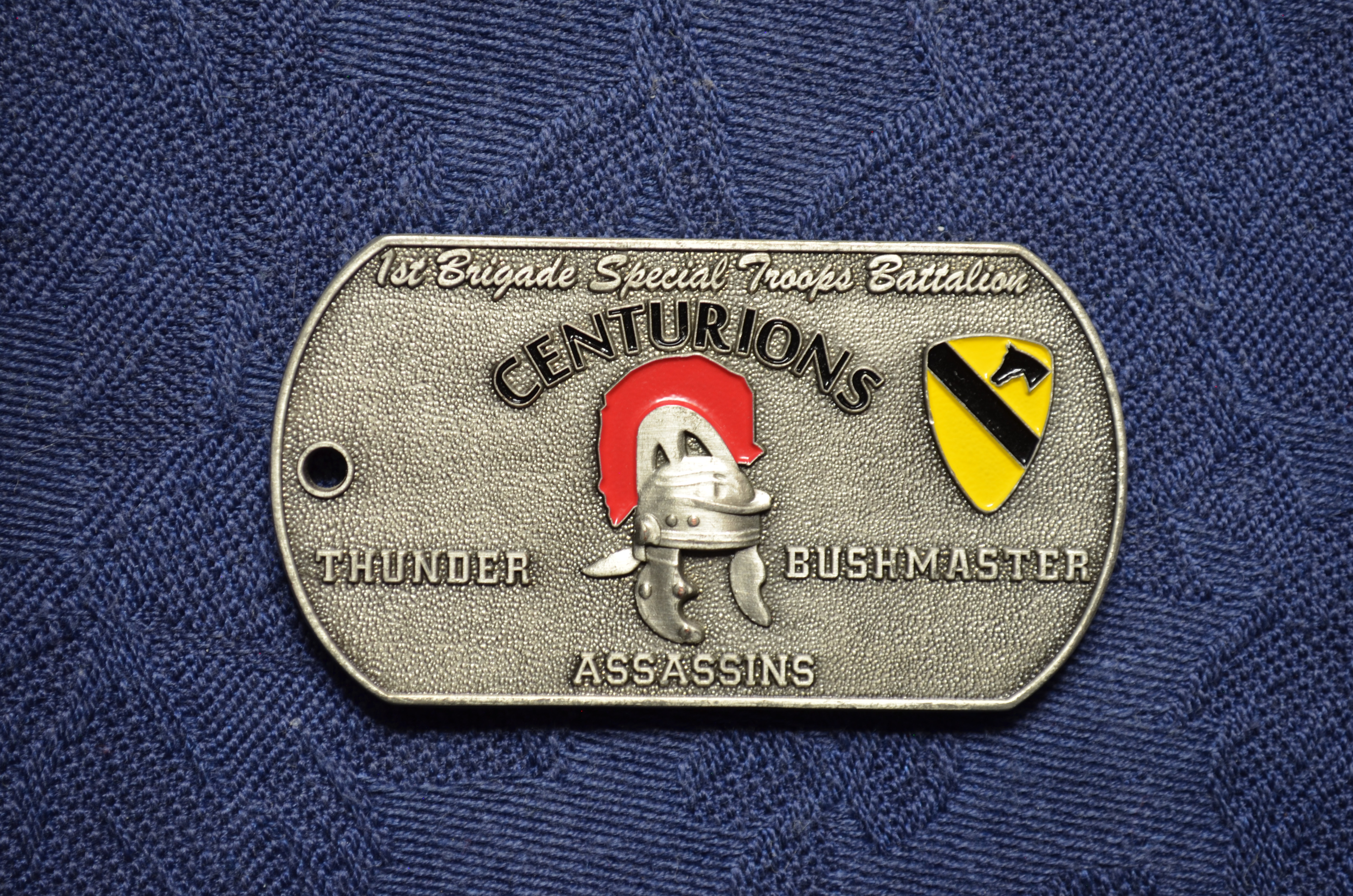 1st Special Troops Battalion, 1st Brigade Combat Team, 1st Cavalry Division preview